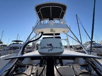 Buy a yacht Loco Mocean - ALBEMARLE