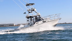 Loco Mocean 280 EXPRESS FISHERMAN WITH TOWER