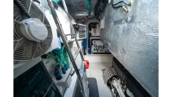 Лучшая цена на LORENA Predator 65