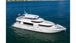 Купить Aleniel 2005