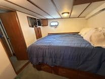 Balena Blu - PACIFICA price