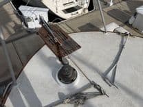 Balena Blu - PACIFICA