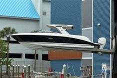 Купить BLONDIE 2023