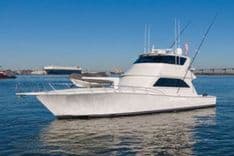 PRIME TIME - VIKING yacht sale