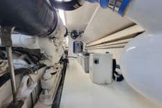 PRIME TIME - VIKING price