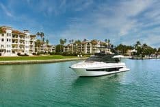 Купить JESSEA 2022