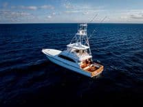 Лучшая цена на NEVER SAY NEVER 2017