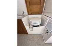 BABY SEAL - Everglades