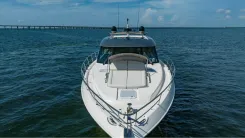 Купить MISS SIP - Riviera