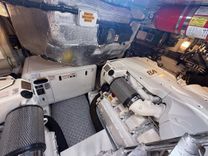 MY MIEL Predator 64 price