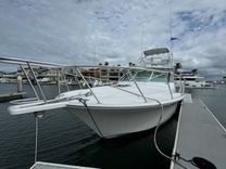 2008 Cabo 40 Express 40 Express price
