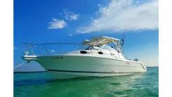 2005 Wellcraft 290 Coastal - WELLCRAFT