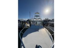 2006 Topaz Express Cruiser