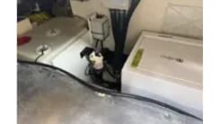 the best price on 3 amici D42 Open