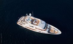 Купить SEA SHELL 111