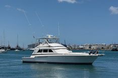Taniamar - Bertram Yacht