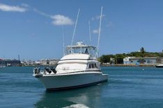the best price on Taniamar 1995