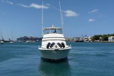 Taniamar - Bertram Yacht yacht sale