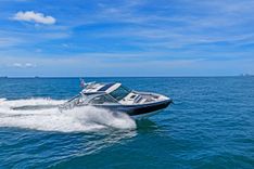 Lady Champagne II 43 price