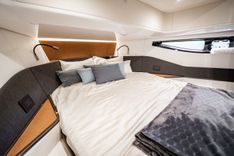 Купить QUATTRO CAVALLI