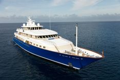 Купить яхту LAUREL 240 в Shestakov Yacht Sales