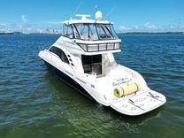 BLACKSUBMARINE III - SEA RAY