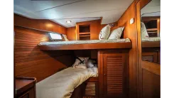 THE GARLIC 2003 yacht sale