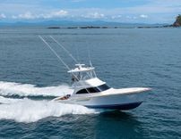the best price on SCARLET 46 BILLFISH