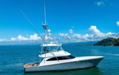 Buy a OFFENSIVE - VIKING at Shestakov Yacht Sales