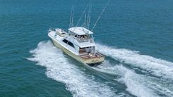 BOLITA TOO 61 price